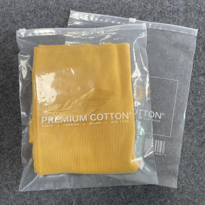 Custom Zip Clear Lock Bags With Logo Clothing Packaging PE Zipper Bag