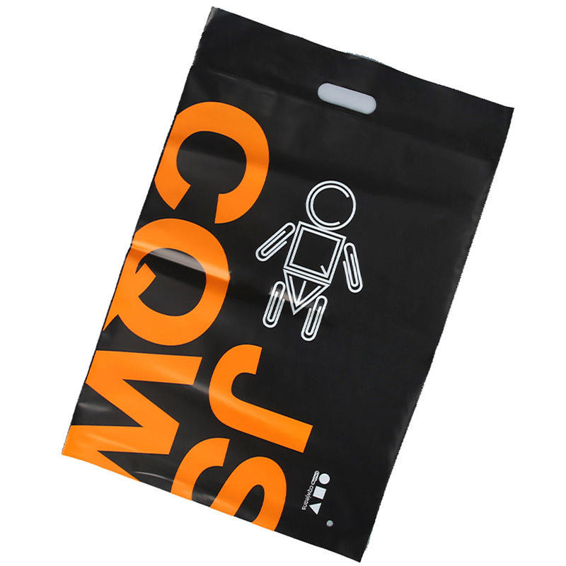 Matte Poly Bag Custom Zip Frosted Lock Clothing Plastic Packing Bags With Handle
