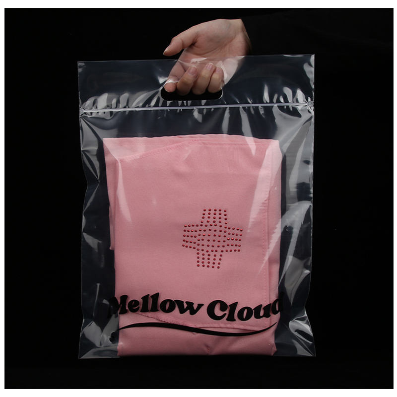 Plastic Zipper Bag With Handle Custom Logo Zip Clear Lock Bag Plastic Zip Bag