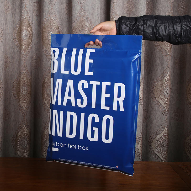 Plastic Zipper Bag With Handle Custom Logo Zip Clear Lock Bag Plastic Zip Bag