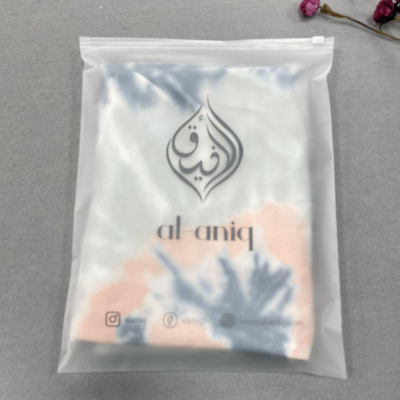 Eco-friendly Custom Plastic Packaging Bag for Clothes Zip Lock Pouch Bag