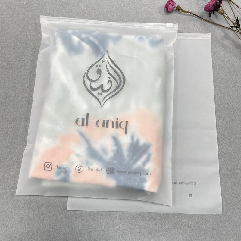 Eco-friendly Custom Plastic Packaging Bag for Clothes Zip Lock Pouch Bag