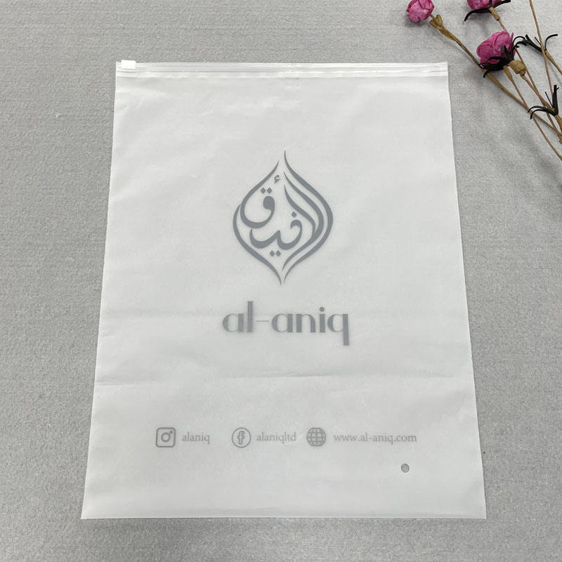Eco-friendly Custom Plastic Packaging Bag for Clothes Zip Lock Pouch Bag