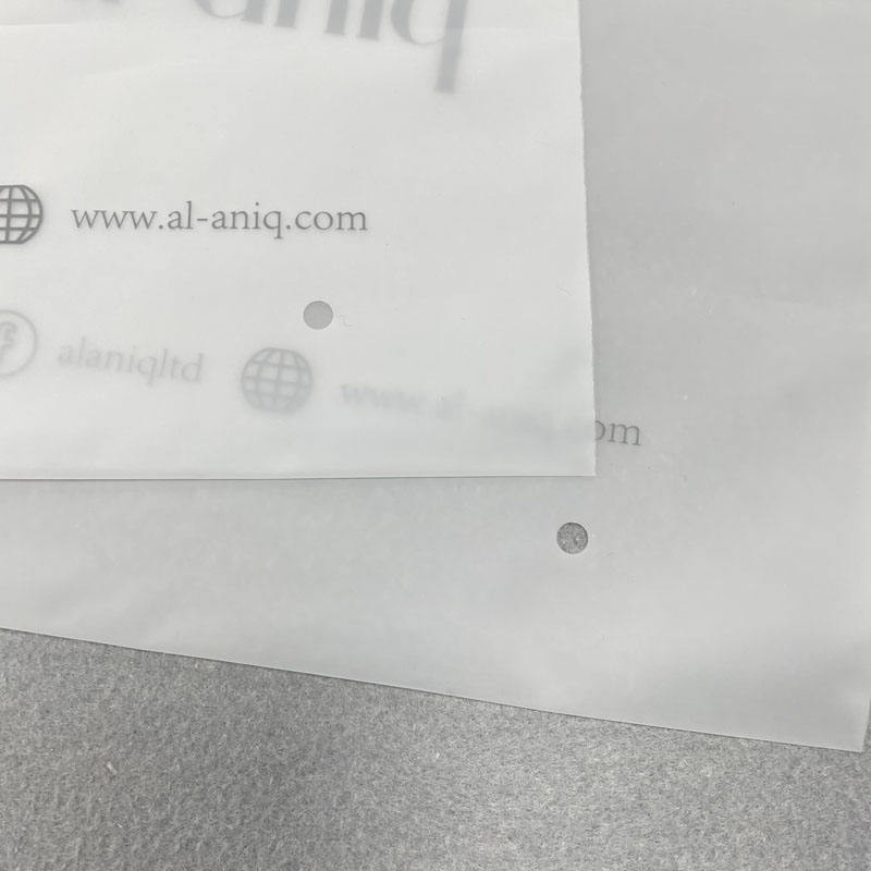 Eco-friendly Custom Plastic Packaging Bag for Clothes Zip Lock Pouch Bag