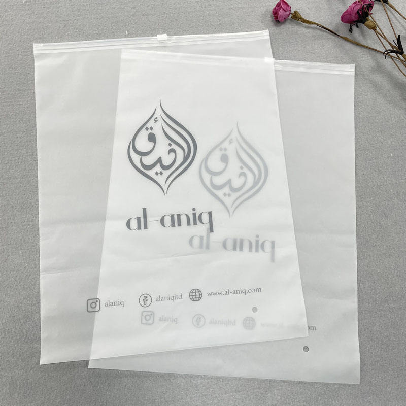 Eco-friendly Custom Plastic Packaging Bag for Clothes Zip Lock Pouch Bag